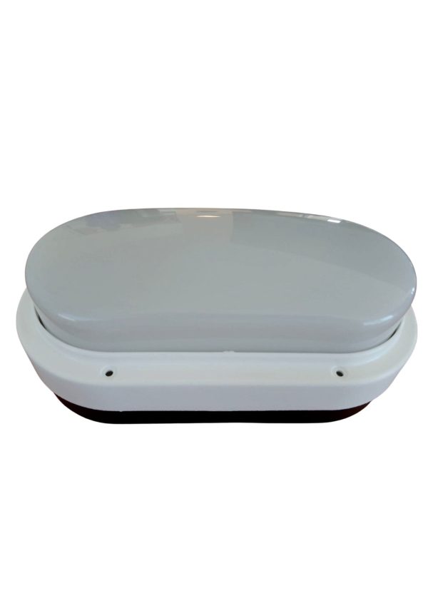 Tortuga blanca con aro  [UM 1u | 20u]
