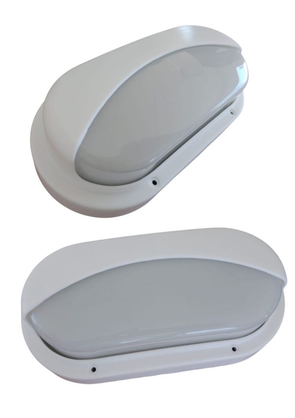 Tortuga blanca con visera  [UM 1u | 20u]