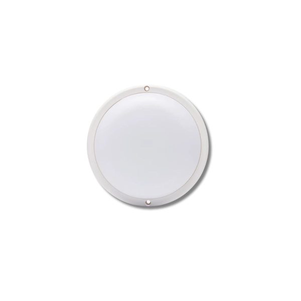 Tortuga redonda 15w Sica blanca  [UM 1u | 5u | 40u]